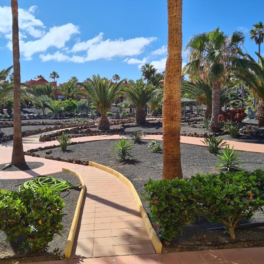 Oasis Royal F217 Corralejo Exterior foto