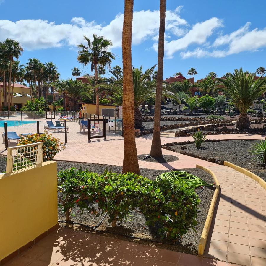 Oasis Royal F217 Corralejo Exterior foto